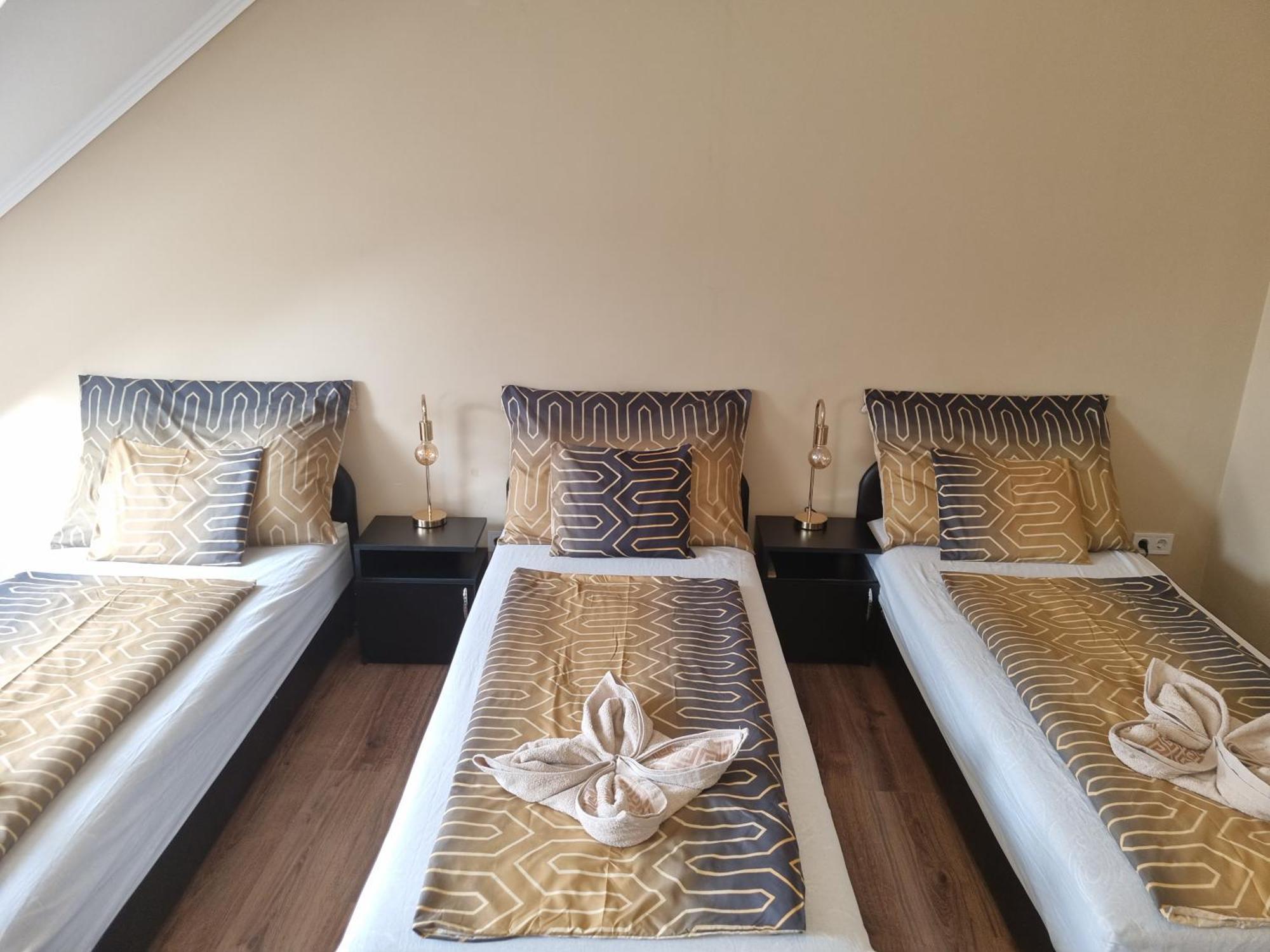 데브레첸 Borostyan Panzio B&B 외부 사진